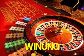 WINUNO Indicadores de vuelo